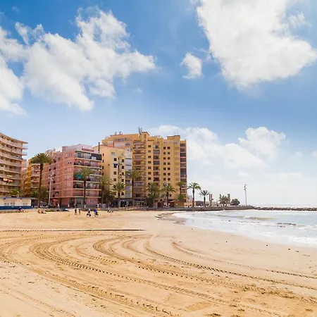 Alegria Id133 Torrevieja