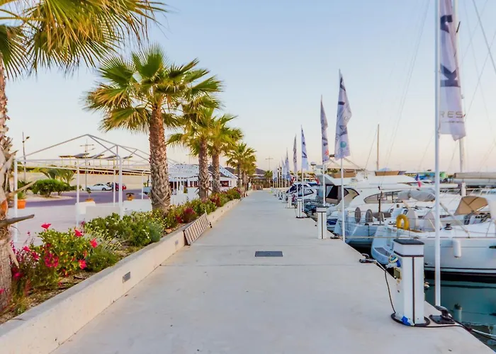 Apartamento Alegria Id133 Torrevieja