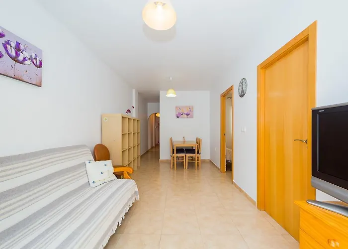 Alegria Id133 Torrevieja