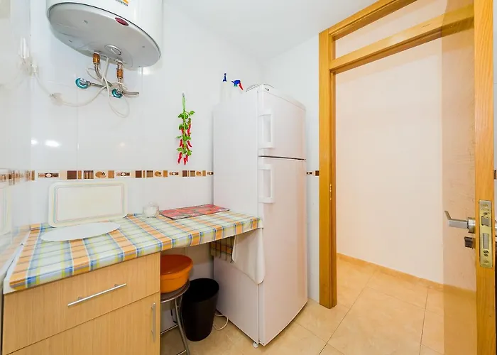 Alegria Id133 Torrevieja